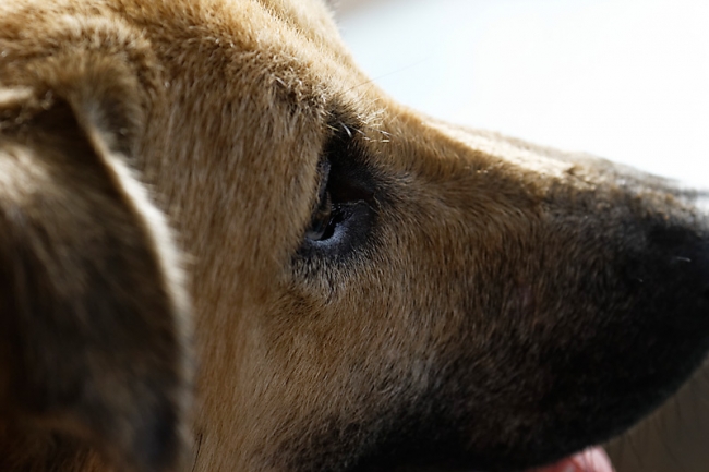 Famille et amis NOV12-049